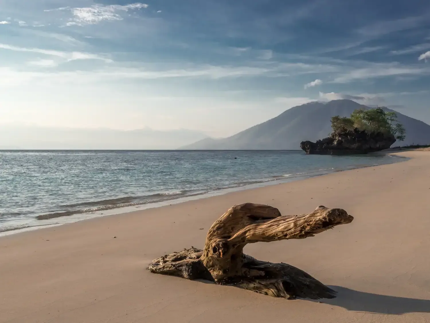 Driftwood on a sandy island shore with a rocky outcrop and mountain silhouettes across the water