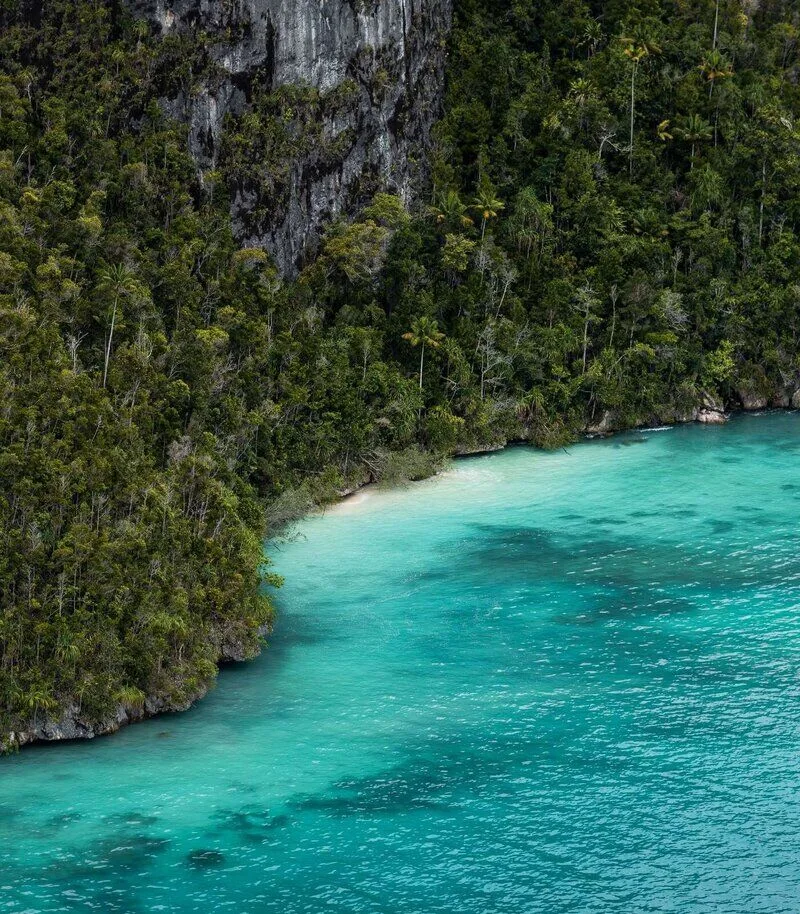 Turquoise water beside a steep, forested limestone shoreline